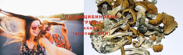 MDMA Михайловск