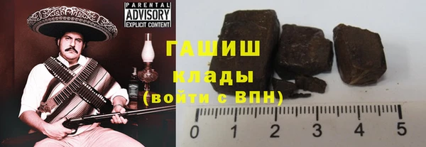 прущие грибы Надым