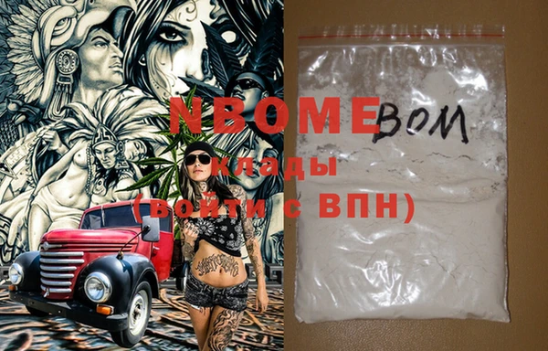 прущие грибы Надым