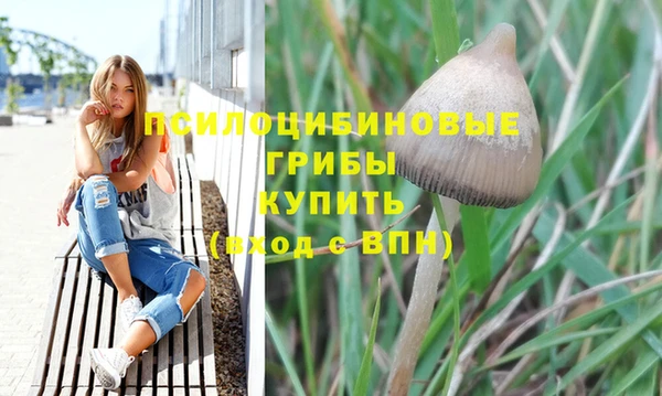 MDMA Михайловск