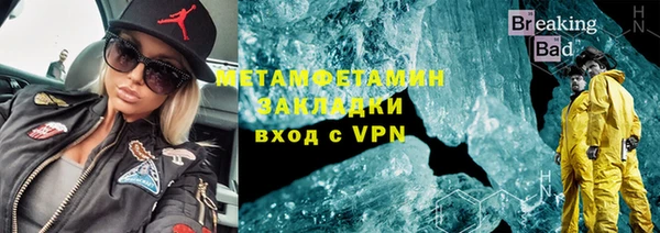 прущие грибы Надым