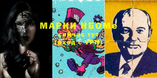 прущие грибы Надым