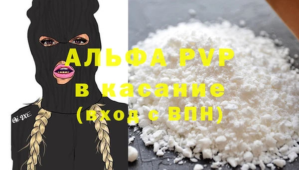 прущие грибы Надым