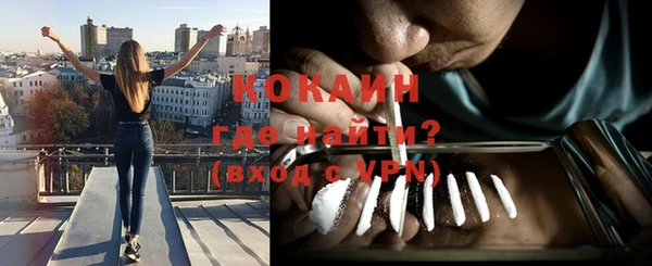 сатива Долгопрудный