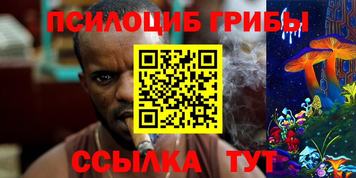 Галлюциногенные грибы Psilocybe  Калининград  Псилоцибиновые грибы Psilocybe 