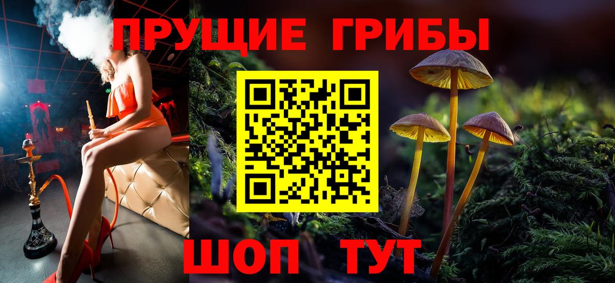 Калининград  Галлюциногенные грибы Psilocybe  Вход с VPN 